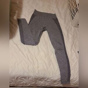 Gym shark leggings